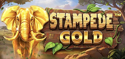 Stampede Gold