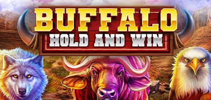 Buffalo Hold and Win