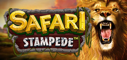 Safari Stampede