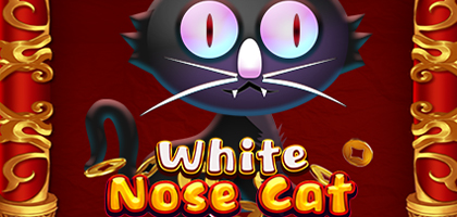 White Nose Cat