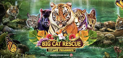 Big Cat Rescue Megaways