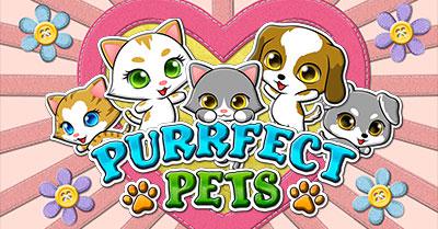 Purrfect Pets